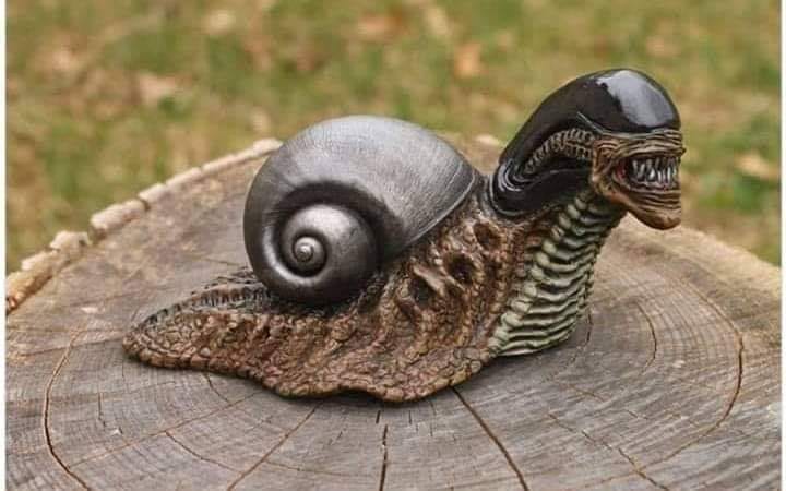 Obrázek - alien snail -