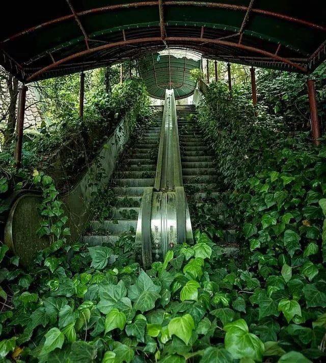 Obrázek - eskalator svazany brectanem -