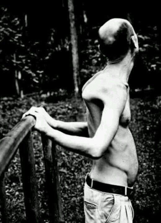 Obrázek - jogin -