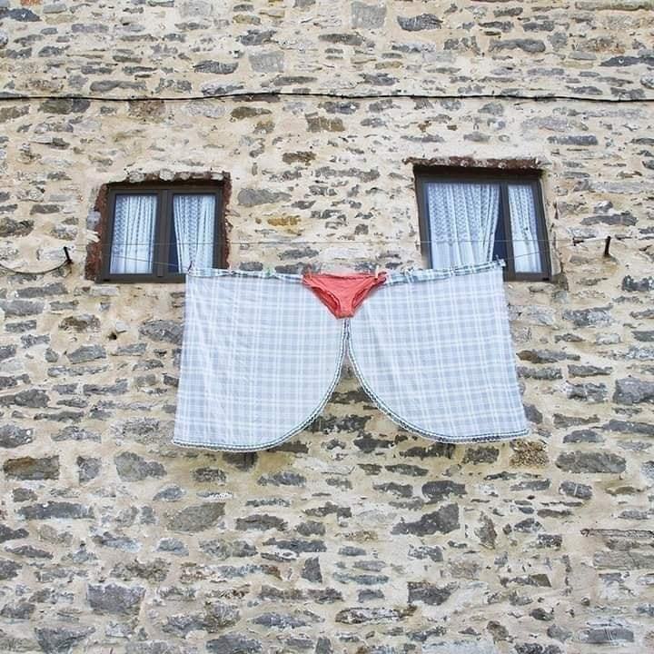Obrázek - kocicina -