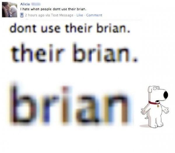 Obrázek -brian-