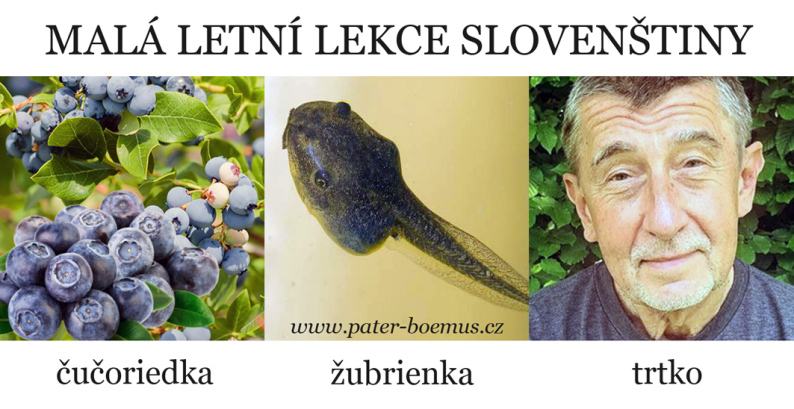 Obrázek 09-03-Lekce-slovenstiny