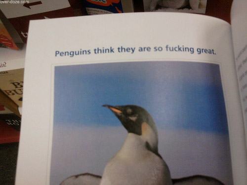Obrázek 0 penguins