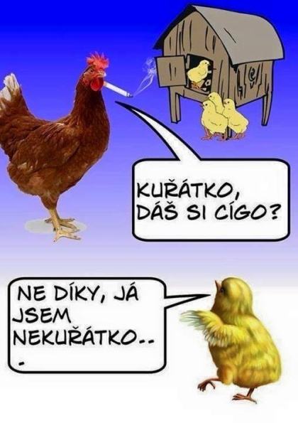 Obrázek 10Kouratko