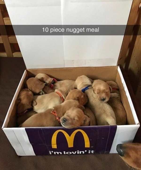 Obrázek 10nuggetMeal