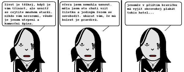 Obrázek 13 strip