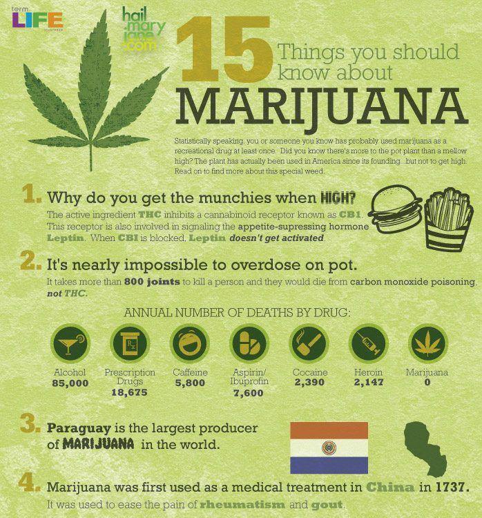 Obrázek 15 veci o marihuane 1
