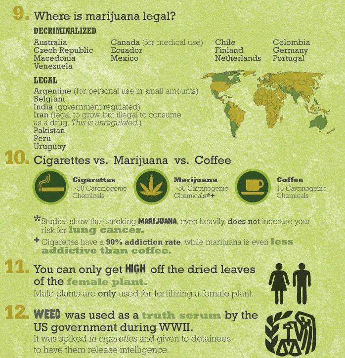 Obrázek 15 veci o marihuane 3