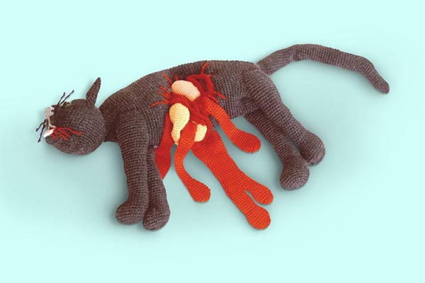 Obrázek 1711 cat