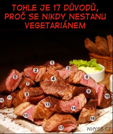 Obrázek 17 duvodu proc nikdy nebudu vegetarianem