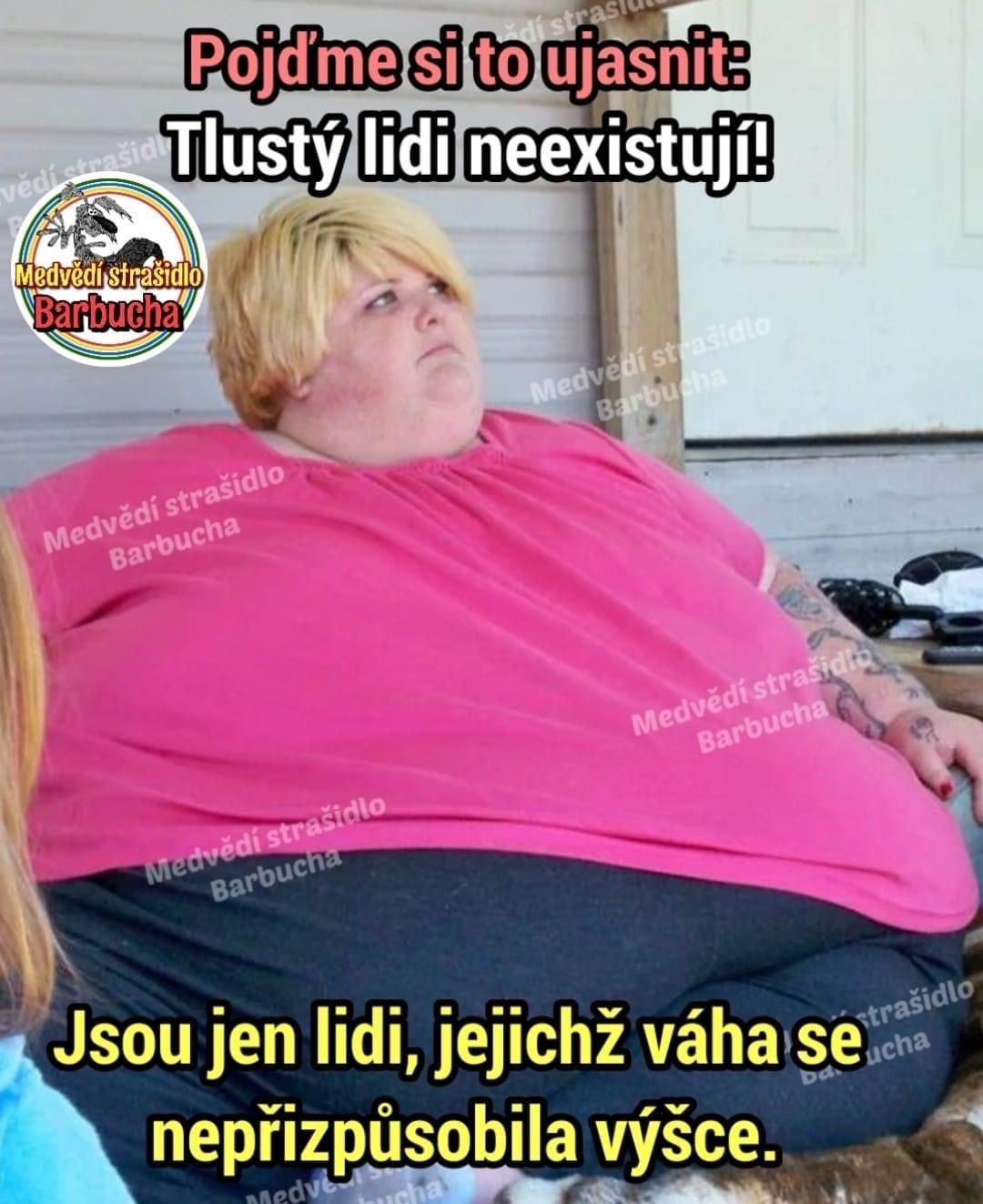 Obrázek 17metruVysokaPani