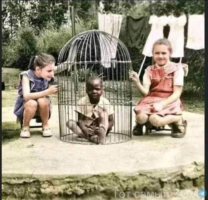 Obrázek 1958.Lidkes Zoo vBelgiii prosim nepoucujte cechy o lidskych pravech