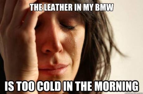 Obrázek 1st world cold car leather