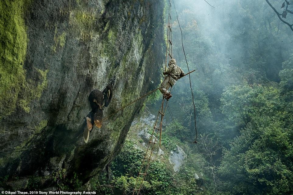 Obrázek 2019 Sony World Photography Awards - Dikpal Thapa