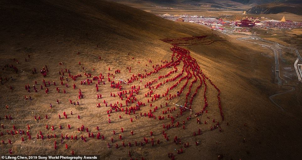 Obrázek 2019 Sony World Photography Awards - Lifeng Chen