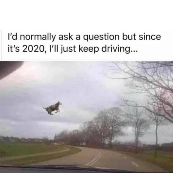 Obrázek 2020 just driving