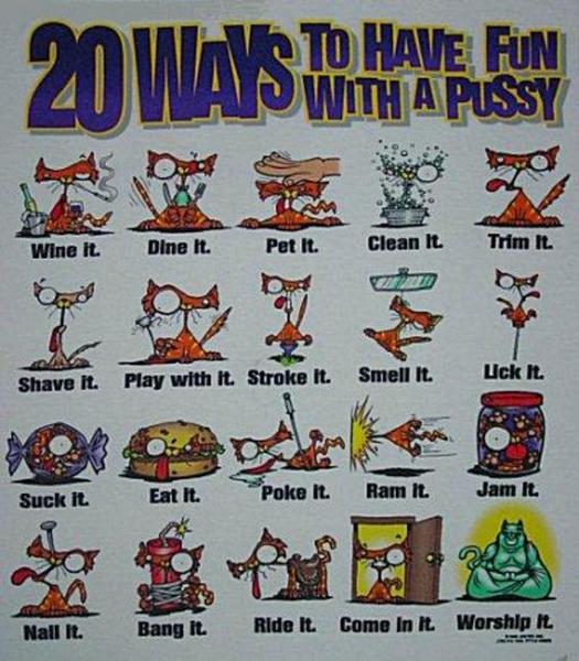 Obrázek 20 ways to have fun with a pussy