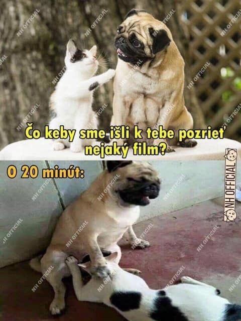 Obrázek 20minutfilm