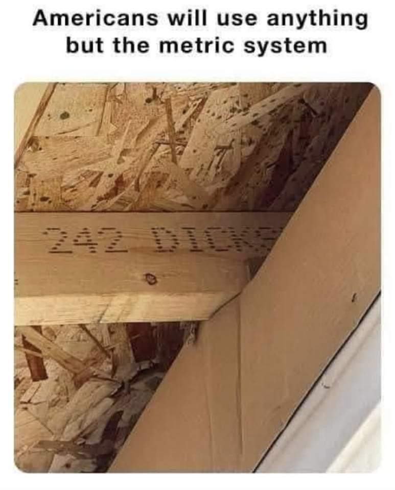 Obrázek 242 dicks