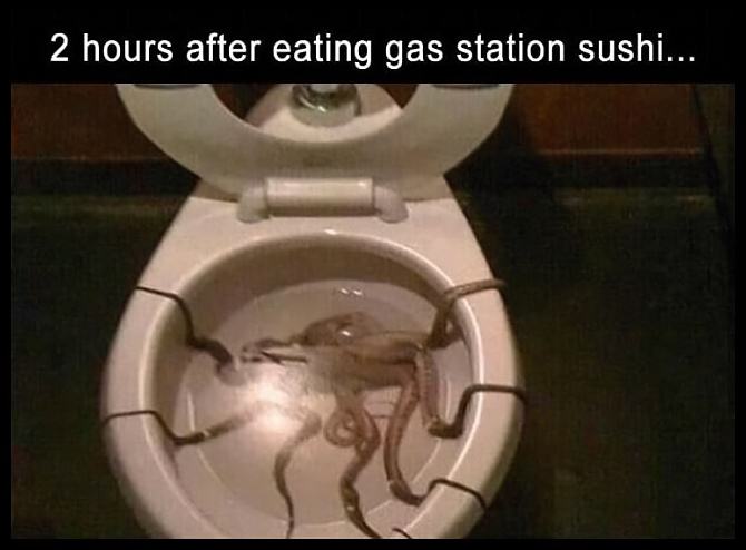Obrázek 2 Hours After Gas Station Sushi