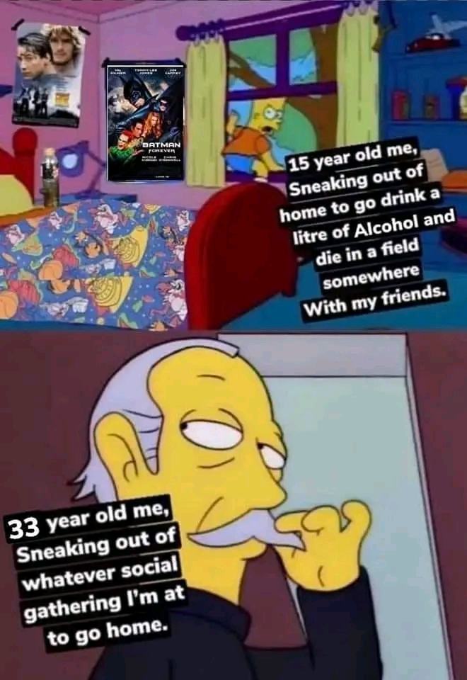 Obrázek 33me