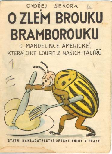 Obrázek 36-bramborbrouk