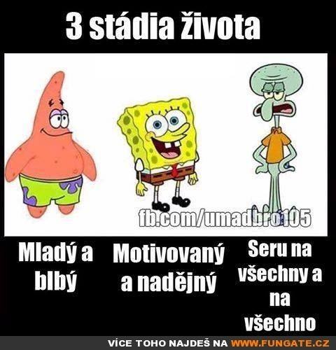 Obrázek 3 stadia zivota