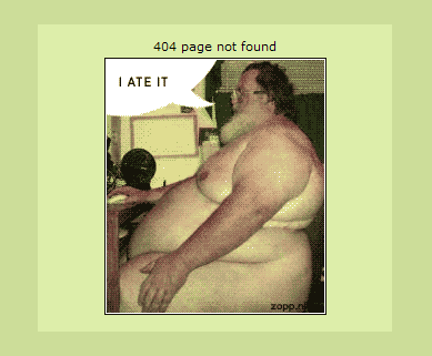 Obrázek 404-8it