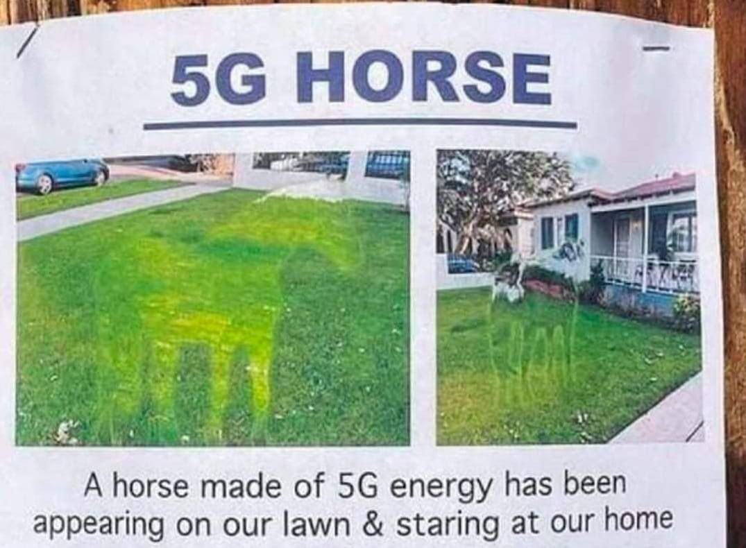 Obrázek 5g kun