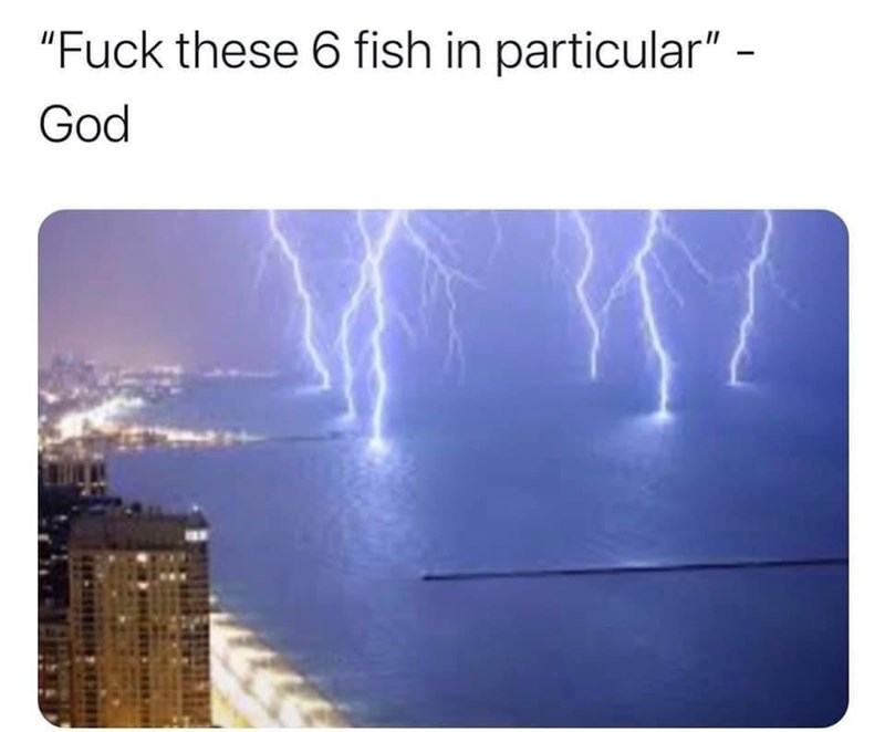Obrázek 6 fish