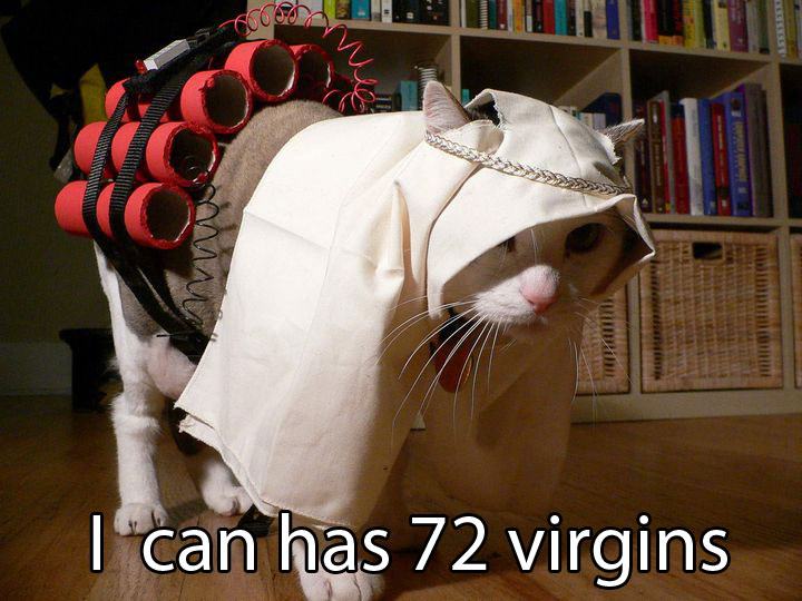Obrázek 72 virgins
