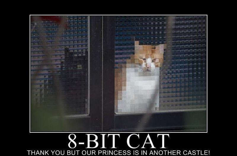 Obrázek 8bit cat
