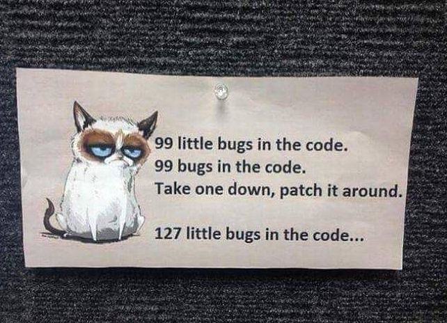 Obrázek 99 Bugs In The Code