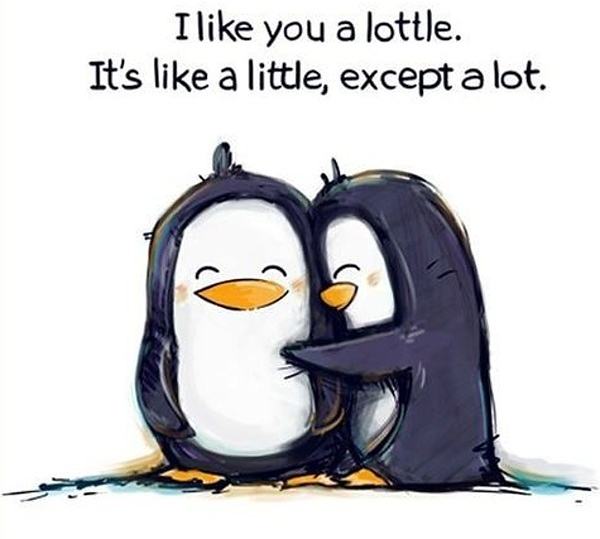 Obrázek A- Like you a lottle