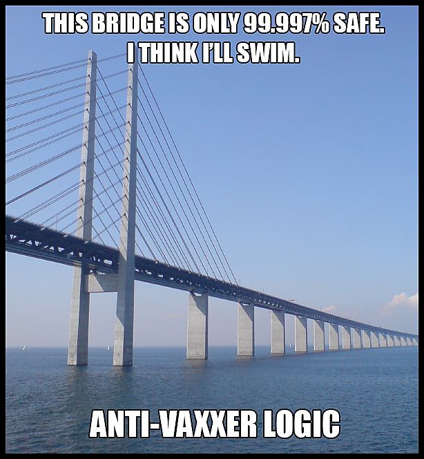 Obrázek ANTI-Vaxxer Logic  