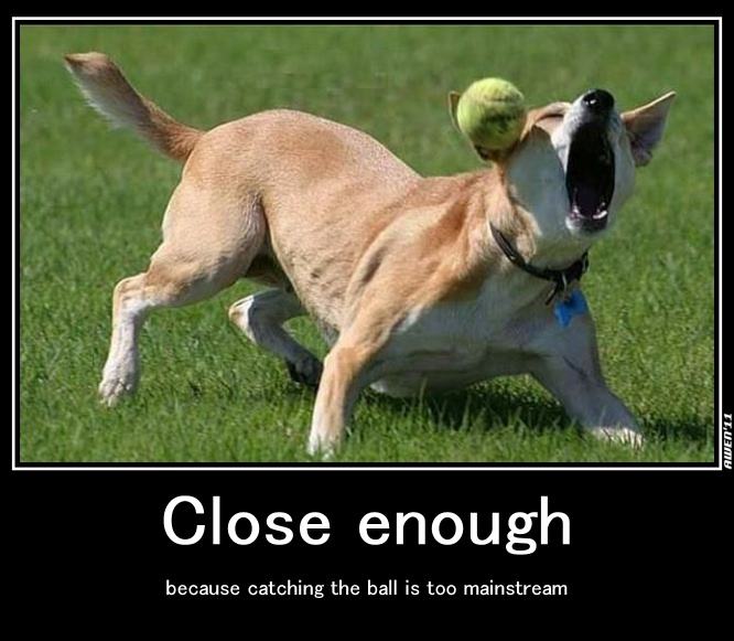 Obrázek A - dog ball close enough