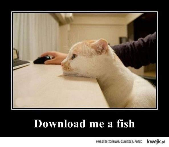 Obrázek A - download fish