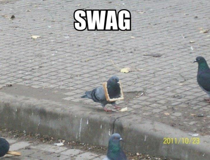 Obrázek A - swag