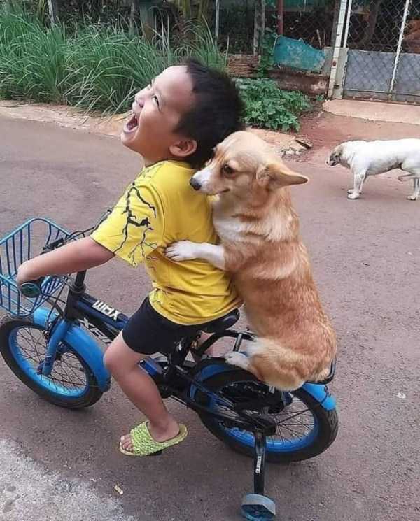 Obrázek A boy and his dog