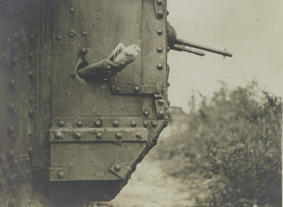 Obrázek A carrier pigeon being released from a British tank August 9th 1918
