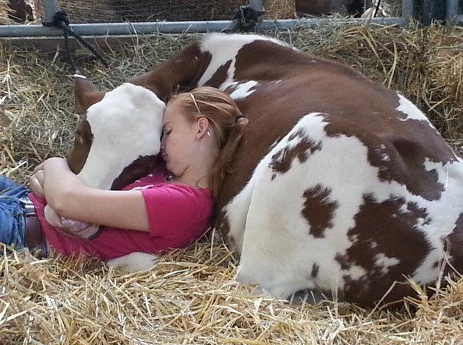 Obrázek A nap with petcow