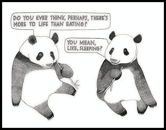 Obrázek A pandas life