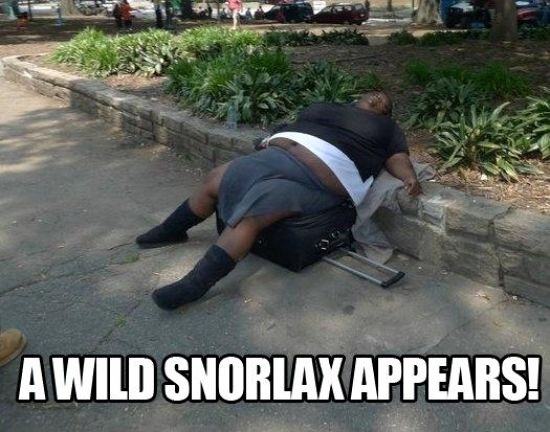 Obrázek A wild snorlax