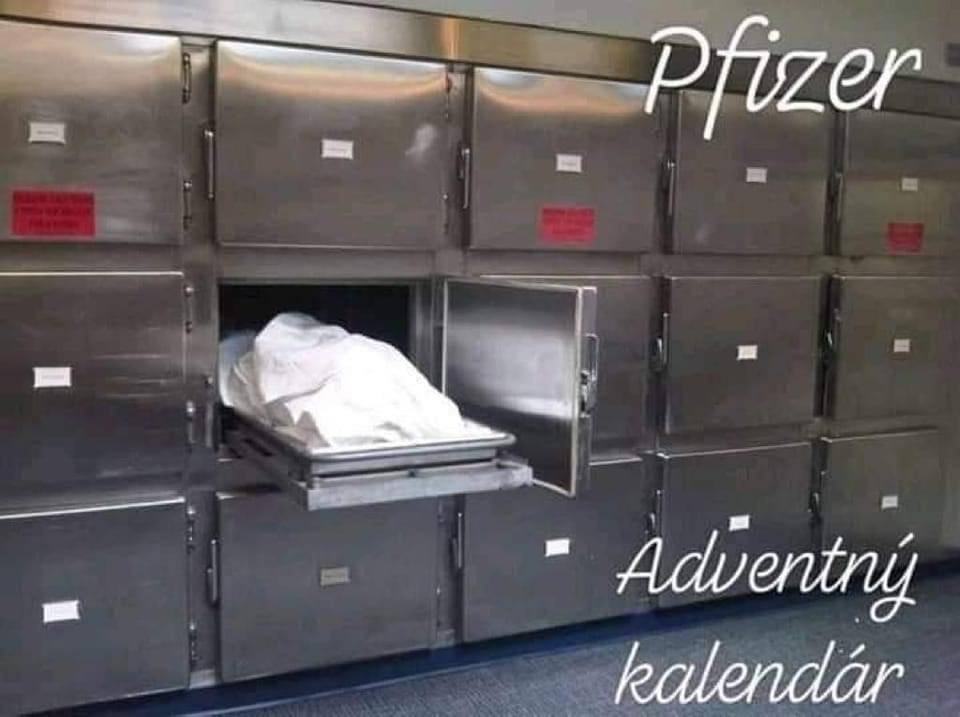 Obrázek Adventni kalendar pfizer