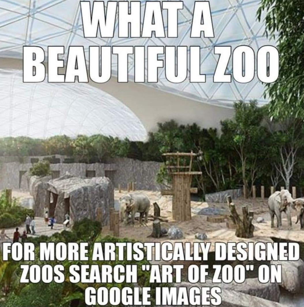 Roumenův Rouming - Zábavné a zajímavé obrázky - Aet of zoo