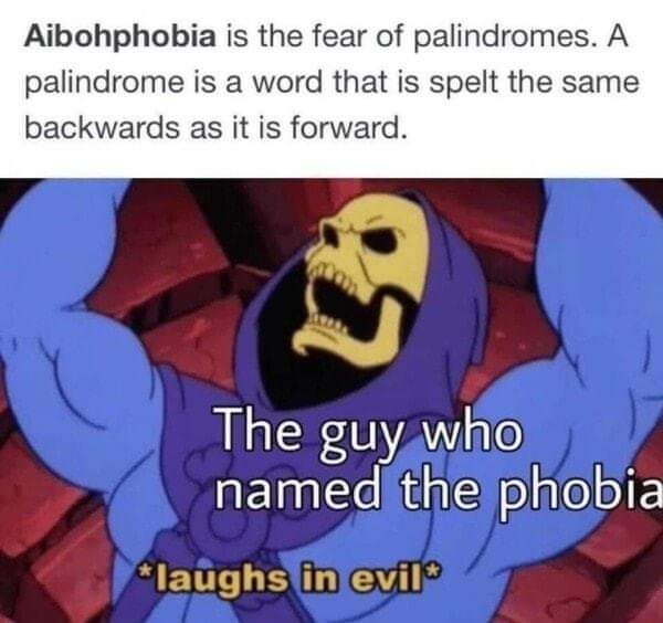 Obrázek Aibophobia