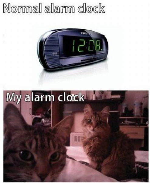 Obrázek Alarm clock 19-03-2012