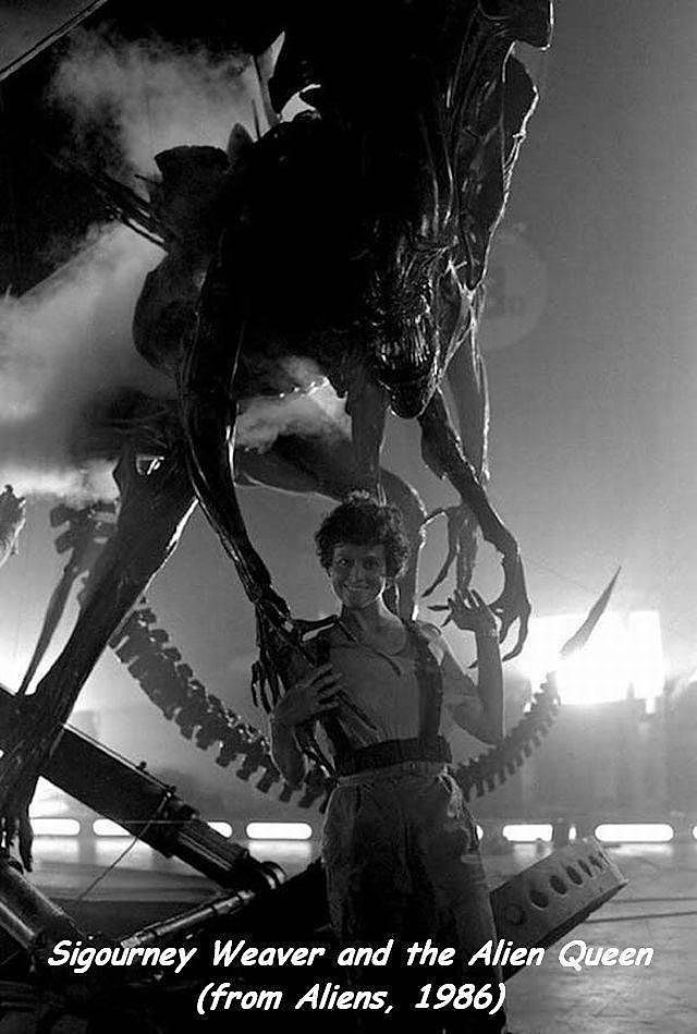 Obrázek AlienQUeen