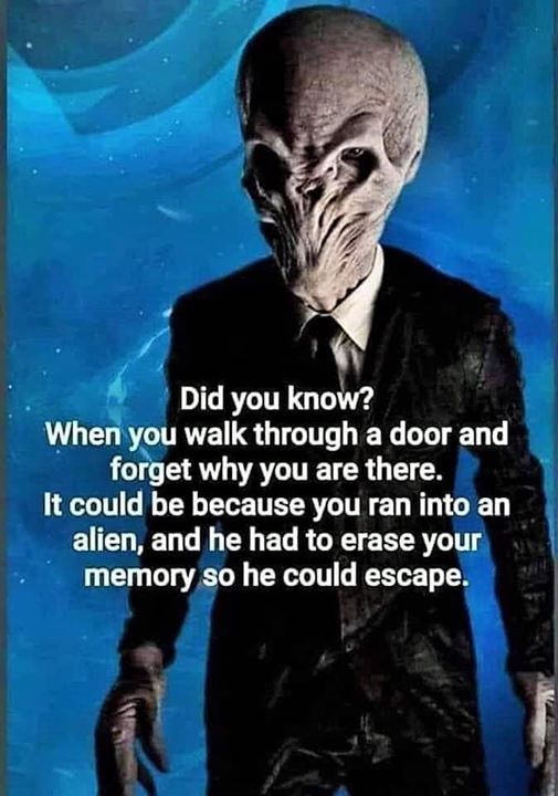 Obrázek Alien&nbsp;encounter