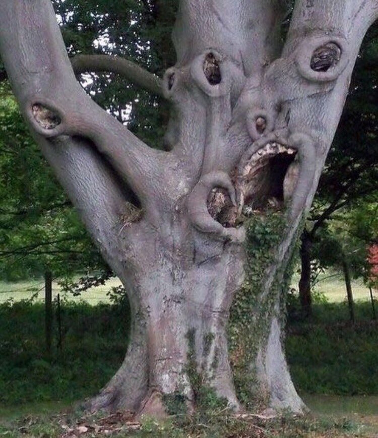 Obrázek Alien tree